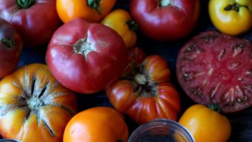 Can bacteria grow in hot sauce?