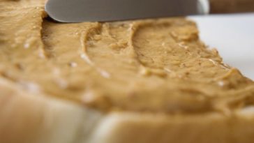 Can bacteria grow in peanut butter?