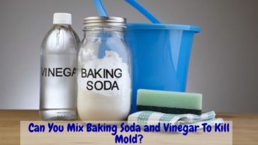 Can baking soda kill you?