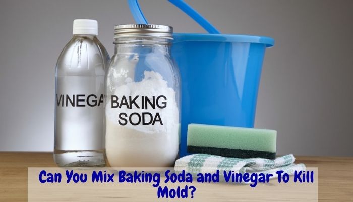 Can baking soda kill you?