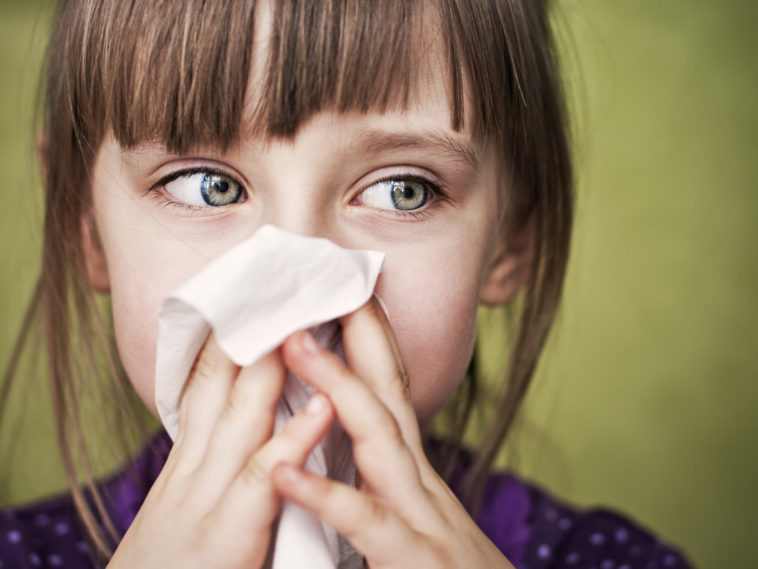 Can blackberries make you sick?