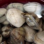 Can clams live in tap water?