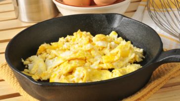 Can dogs eat scrambled eggs?