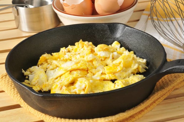 Can dogs eat scrambled eggs?