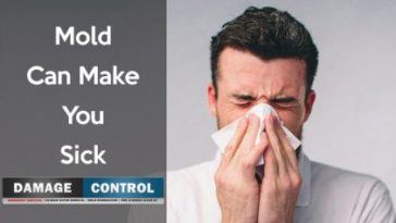 Can eggplant make you sick?