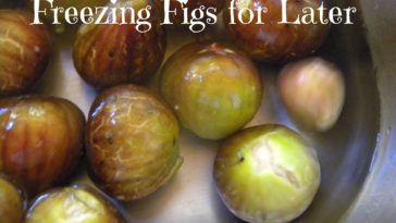 Can fresh figs be frozen for later use?