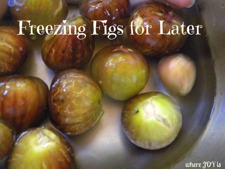 Can fresh figs be frozen for later use?