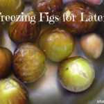 Can fresh figs be frozen for later use?