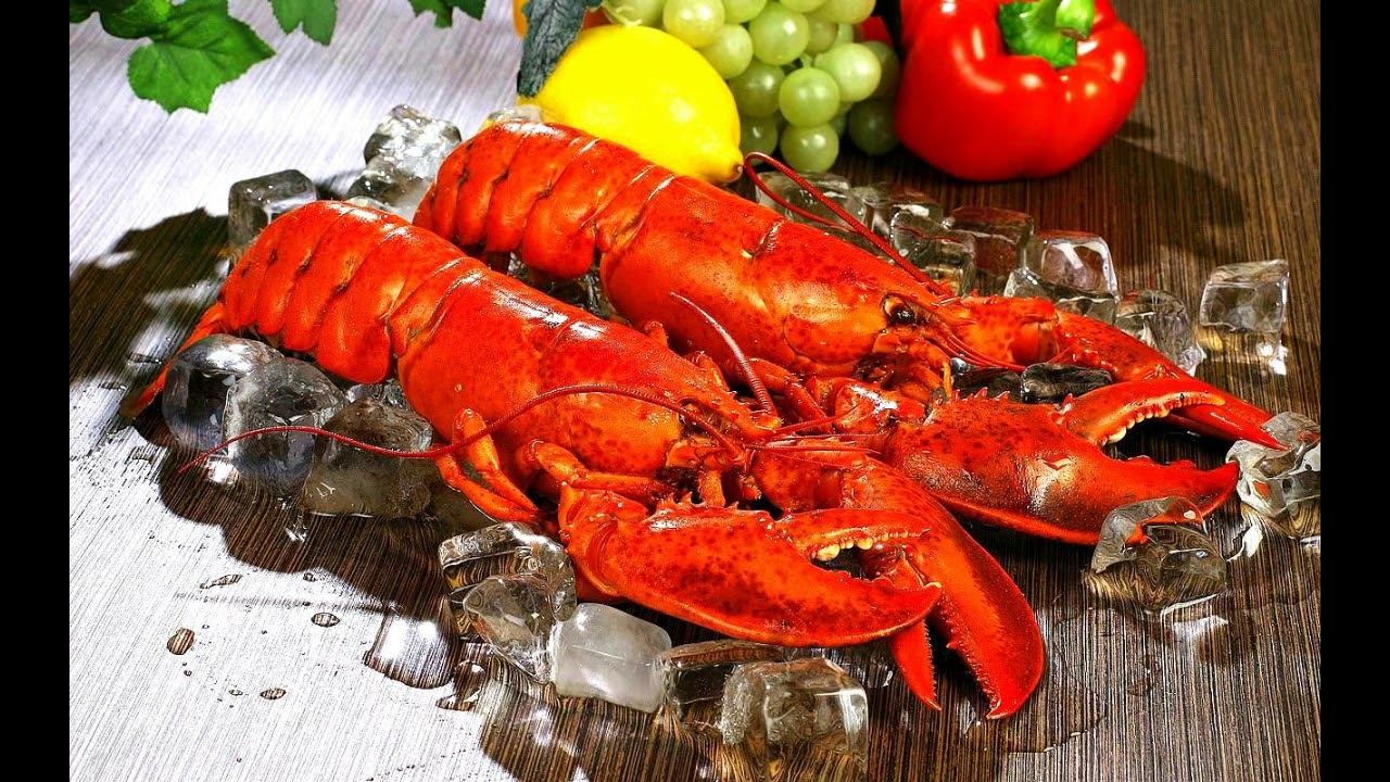 Can frozen lobster come back to life?
