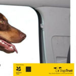 Can hot dogs kill dogs?