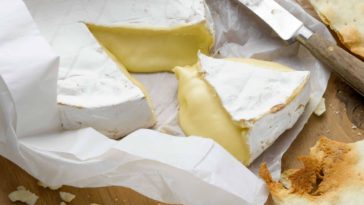 Can mac and cheese stay out overnight?