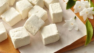Can marshmallows be vegan?