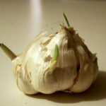 Can old garlic make you sick?