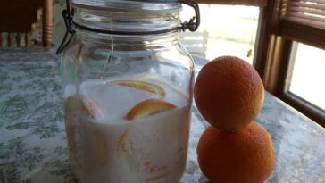 Can oranges ferment into alcohol?