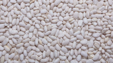 Can pinto beans replace white beans?
