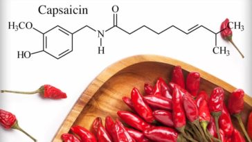Can pure capsaicin kill you?