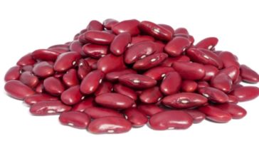 Can red kidney beans kill you?