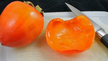 Can unripe persimmons make you sick?