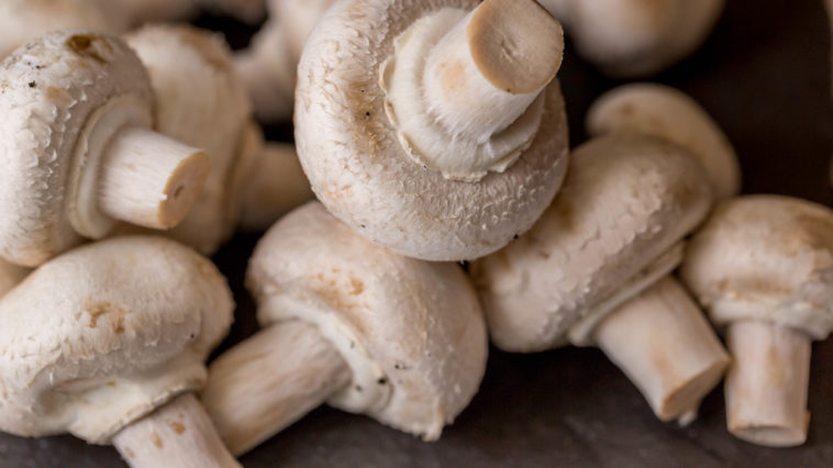 Can we eat mushroom everyday?