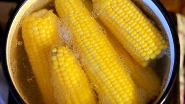 Can you boil corn on the cob too long?