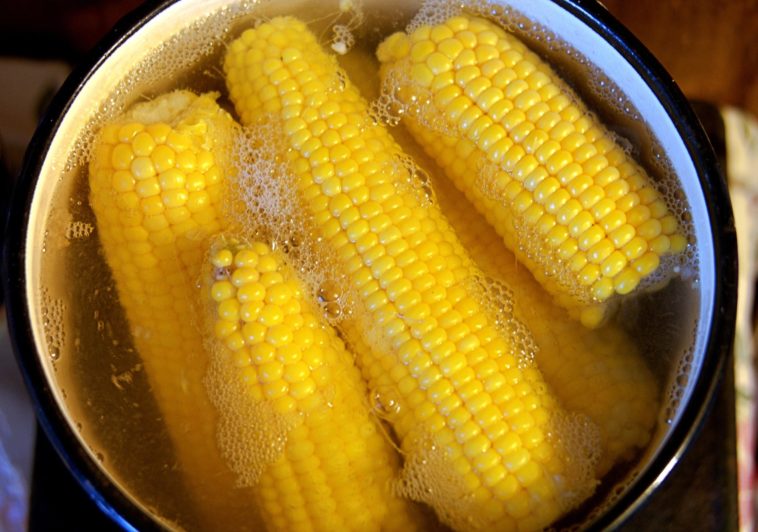 Can you boil corn on the cob too long?