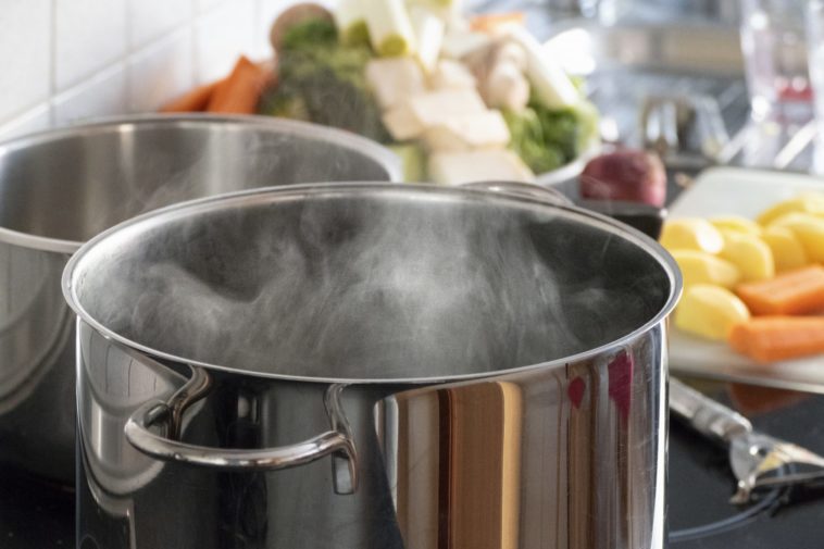 Can you cook 2 things at once in the Instant Pot?