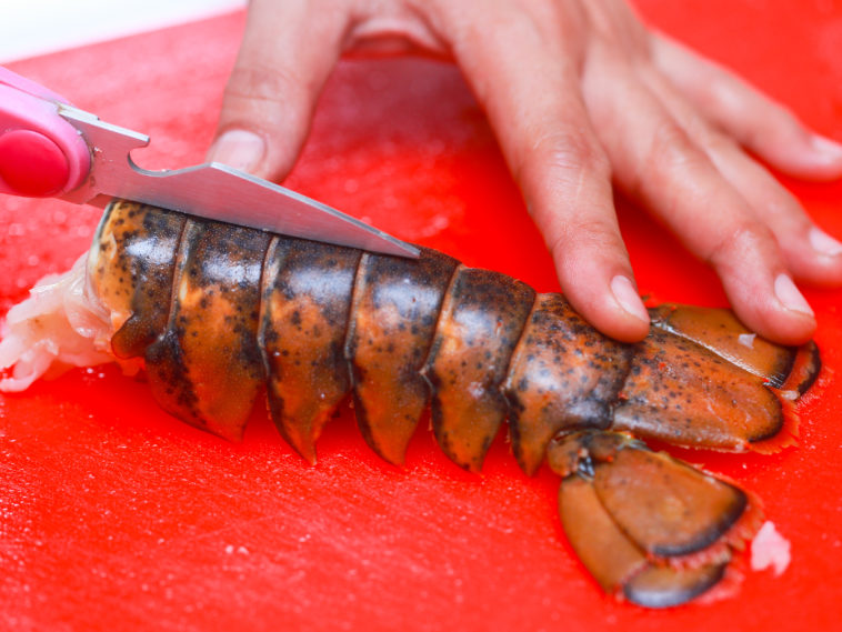 Can you cook lobster from frozen?