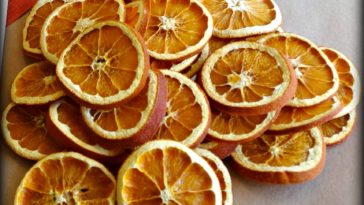 Can you dry oranges in the sun?