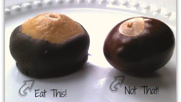 Can you eat Buckeyes?