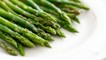 Can you eat Scampi raw?