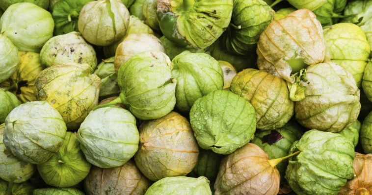 Can you eat Underripe tomatillos?