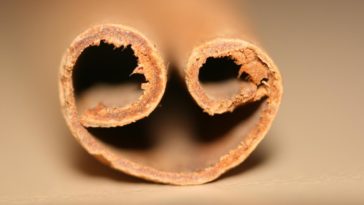 Can you eat a cinnamon stick?