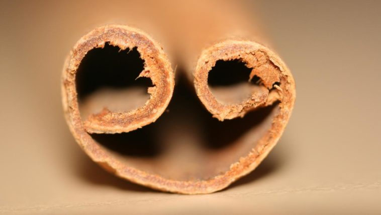 Can you eat a cinnamon stick?