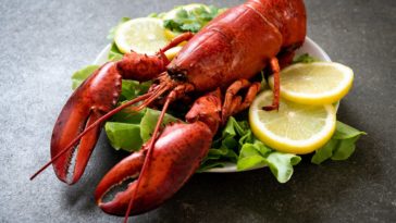 Can you eat all parts of lobster?