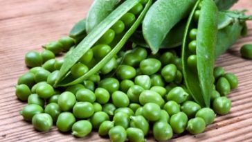 Can you eat canned peas raw?