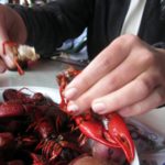 Can you eat crawfish out of a ditch?