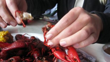 Can you eat crawfish out of a ditch?