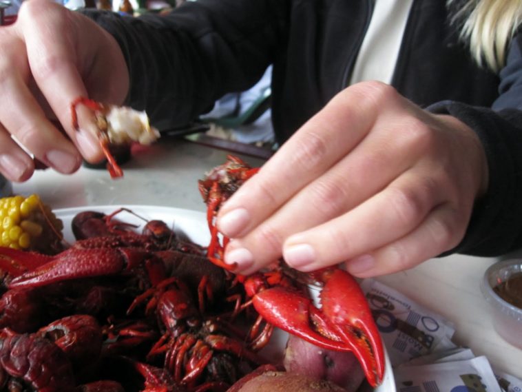 Can you eat crawfish out of a ditch?