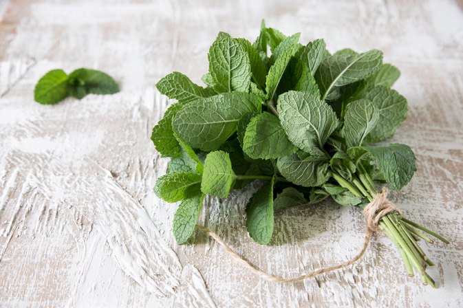Can you eat mint leaves?