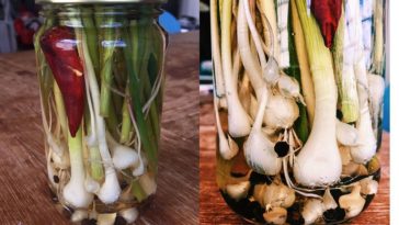 Can you eat onions straight from the garden?