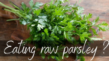 Can you eat parsley raw?