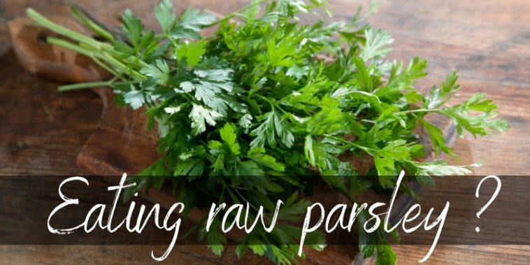 Can you eat parsley raw?
