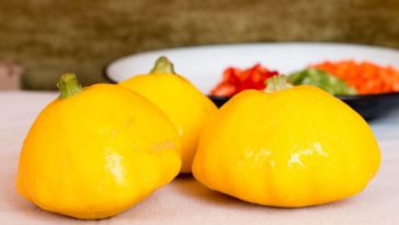 Can you eat patty pan squash raw?