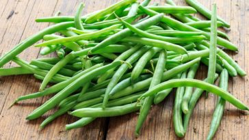 Can you eat pole beans raw?