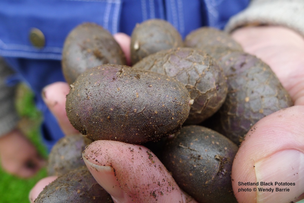 Can you eat potatoes that are black inside?