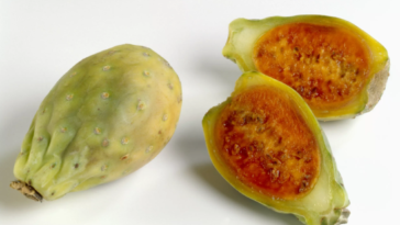 Can you eat prickly pear cactus raw?