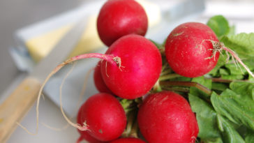 Can you eat radishes raw?
