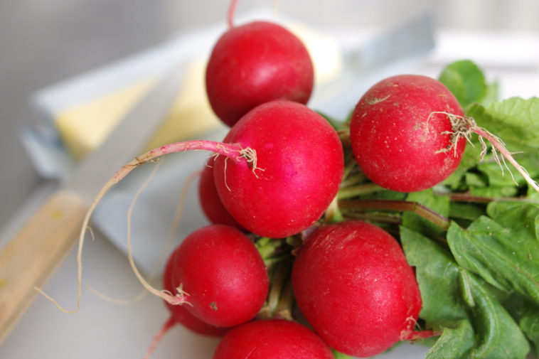 can-you-eat-radishes-raw