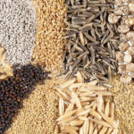 Can you eat raw cantaloupe seeds?