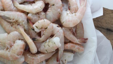 Can you eat raw pink shrimp?